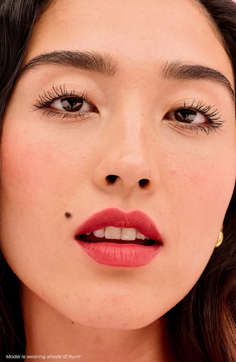 Benefit Cosmetics The Plush Club Moisturizing Matte Lip Tint Duo $48 Value, Alternate, color, 