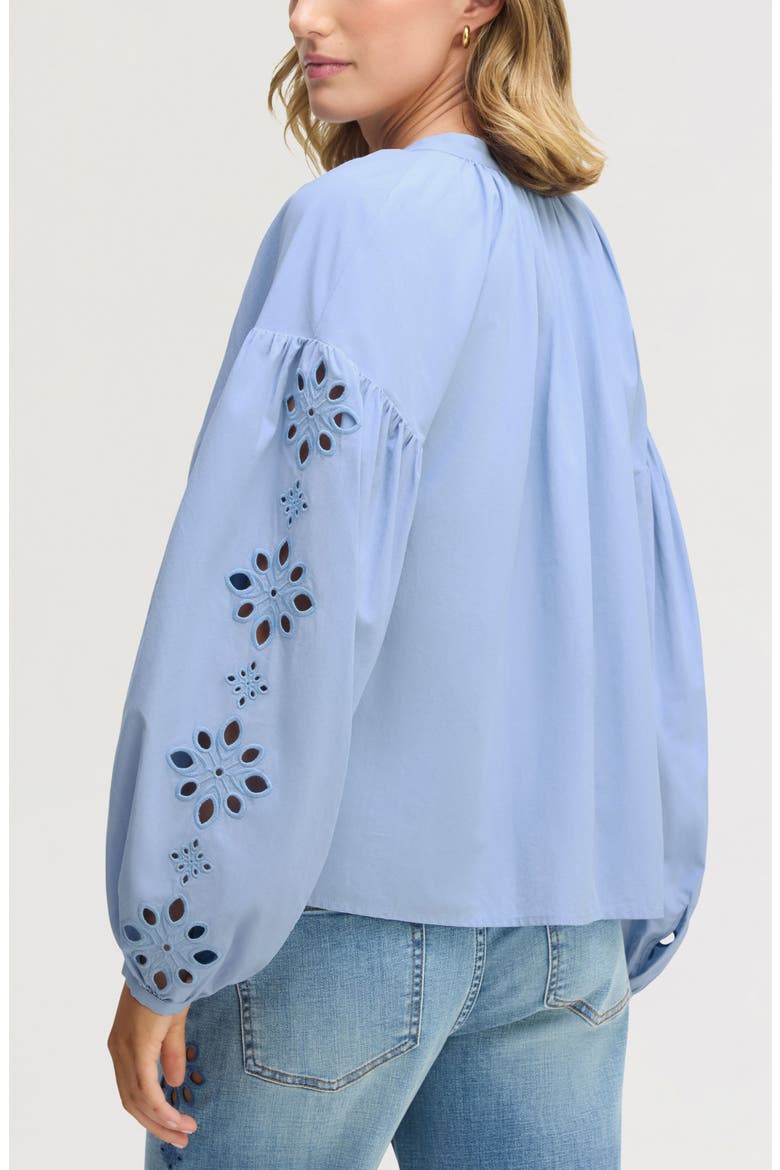 Embroidered Sleeve Top, Alternate, color, AZURE BLUE