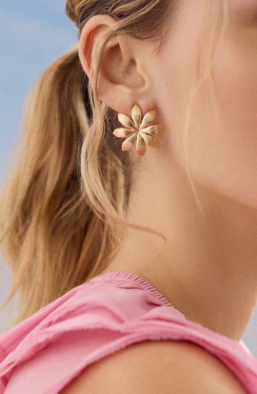 Baublebar Shyla Earrings In Gold Small
