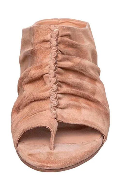 Antelope Lalana Mule In Peach