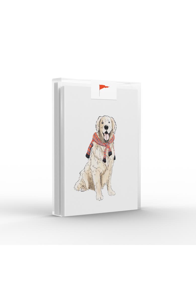 Preppy Retriever Greeting Card Pack Set, Main, color, Multi-Pack