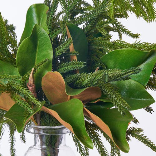 Darby Creek Trading Real Touch Norfolk Pine & Magnolia Leaf In Green