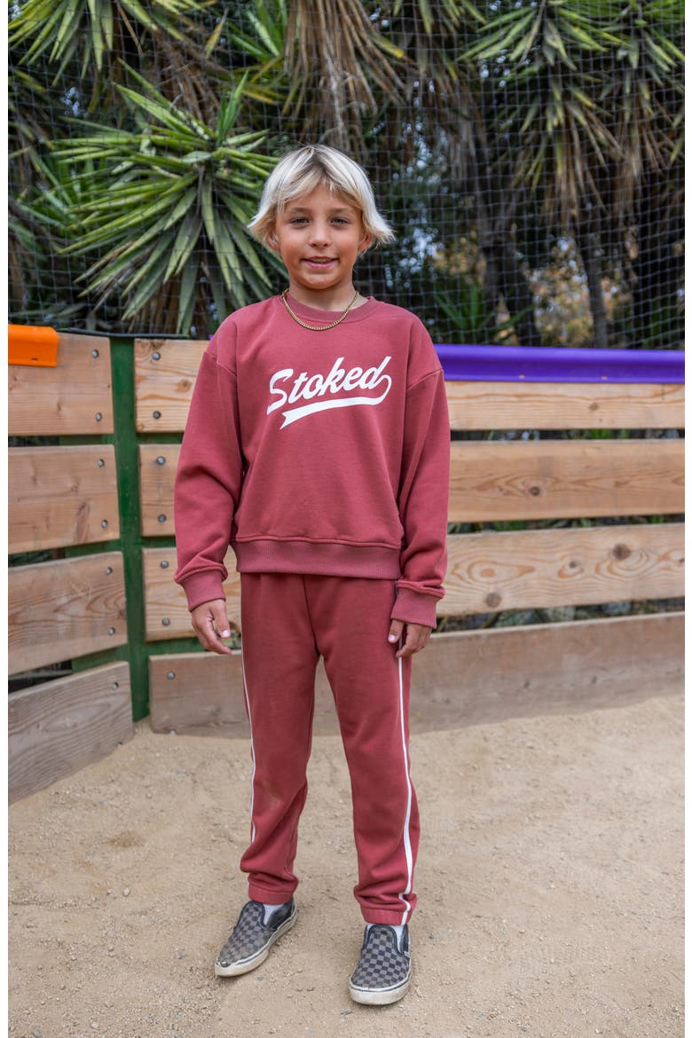 Kids' Wyatt Cotton Blend Track Joggers, Alternate, color, CANYON RED
