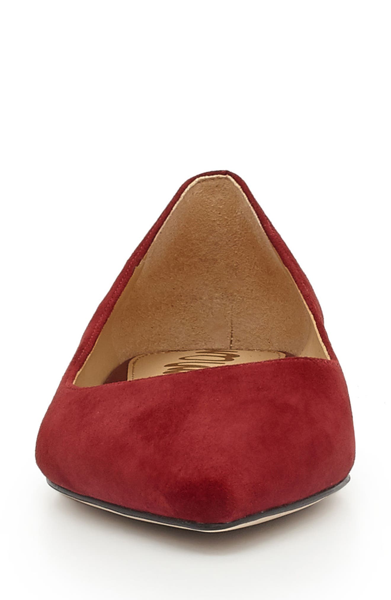 Sam Edelman Rae Pointy Toe Flat, Alternate, color, 