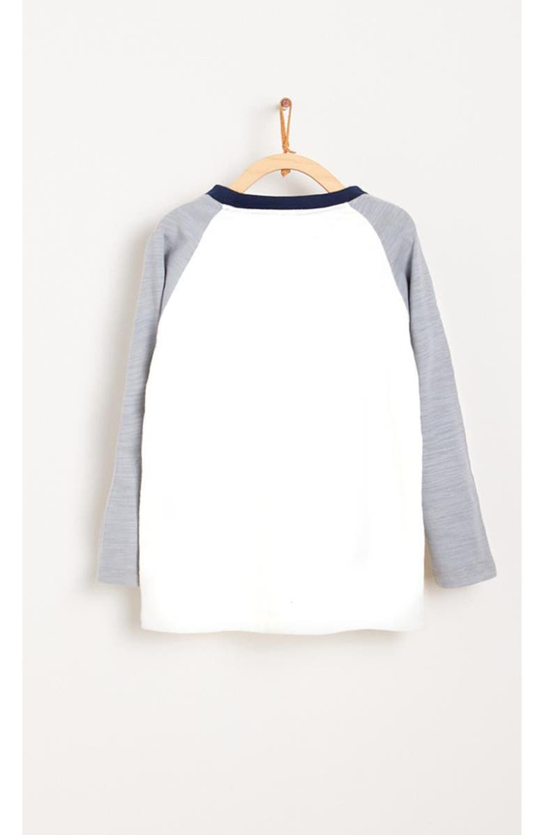 Babycottons Snow Color Block T-Shirt for Toddler, Alternate, color, 