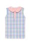  Gingham