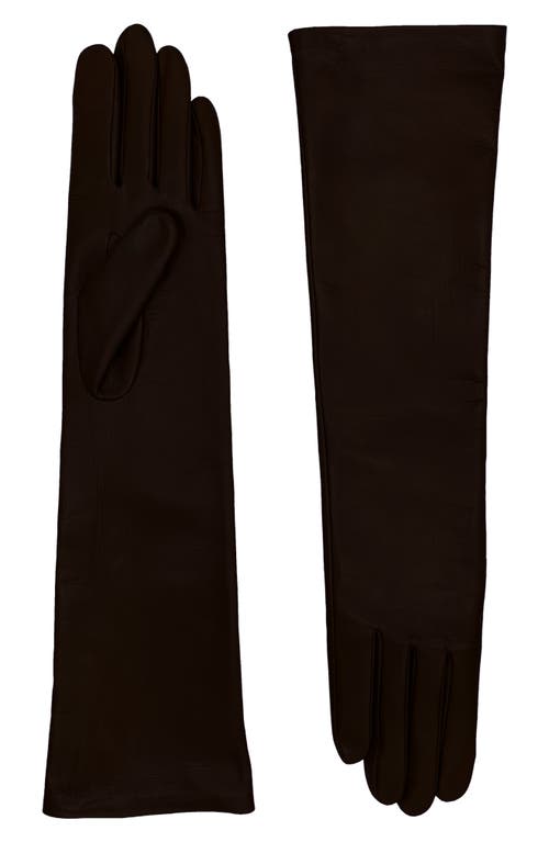 Agnelle Elbow Length Leather Gloves in Whisky 