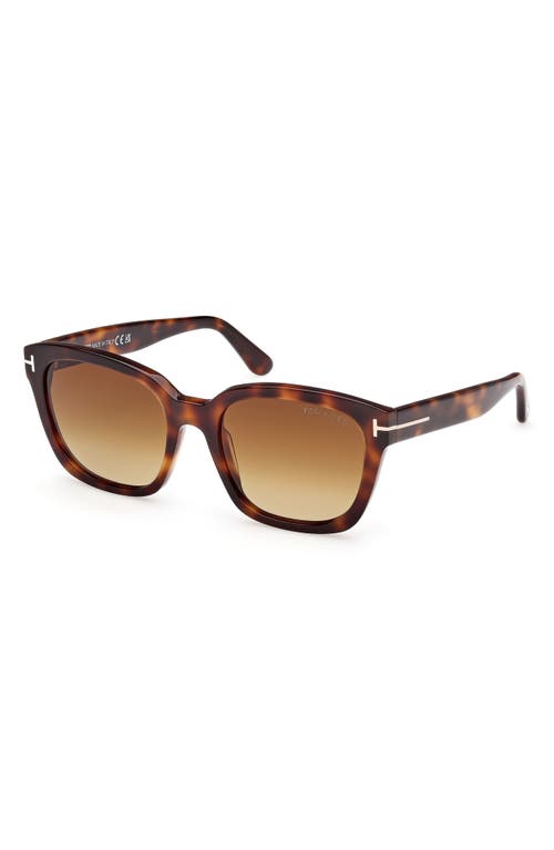 Tom Ford Beatrix Ft0613 52h Geometric Polarized Sunglasses In Shiny Hark Havana Eco