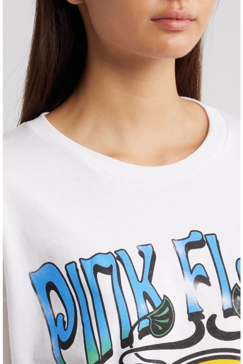 Pink Floyd Long Sleeve Cotton Graphic T-Shirt, Alternate, color, SOLID WHITE