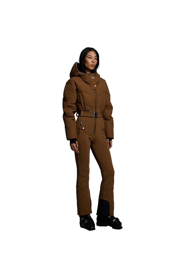 Ajax Snow Suit - Women's, Main, color, Sepia