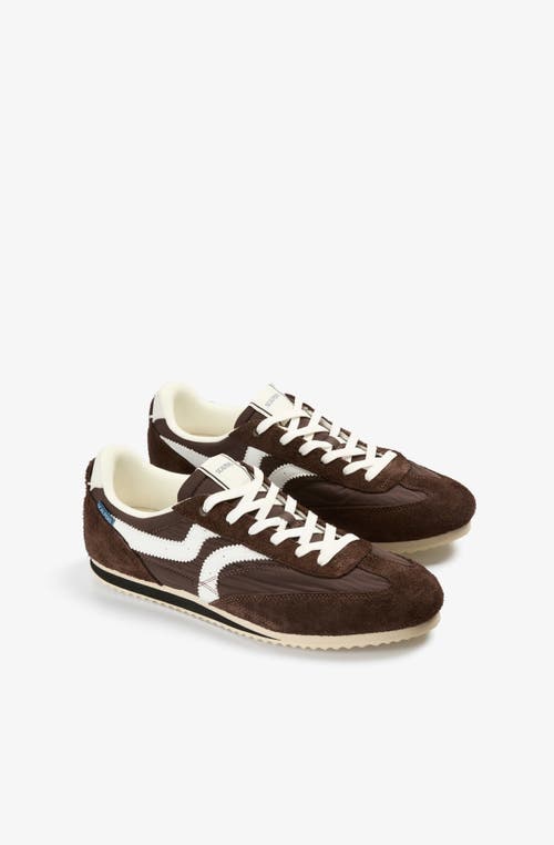 Scalpers Nats Sneakers In Brown