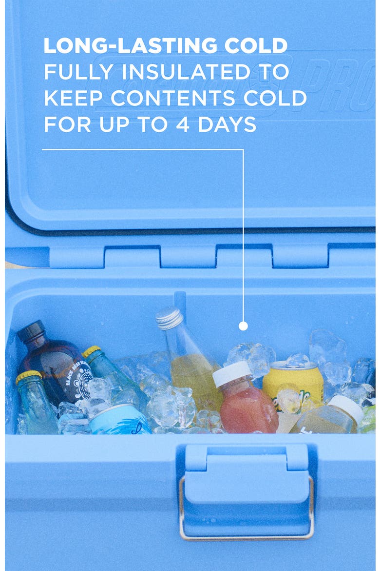 Pro Series 55-Quart Hard Cooler, Alternate, color, Blue Sky