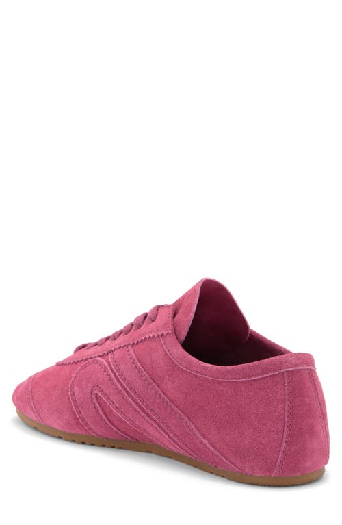 Jeffrey Campbell Aleta Sneaker In Fuchsia Suede