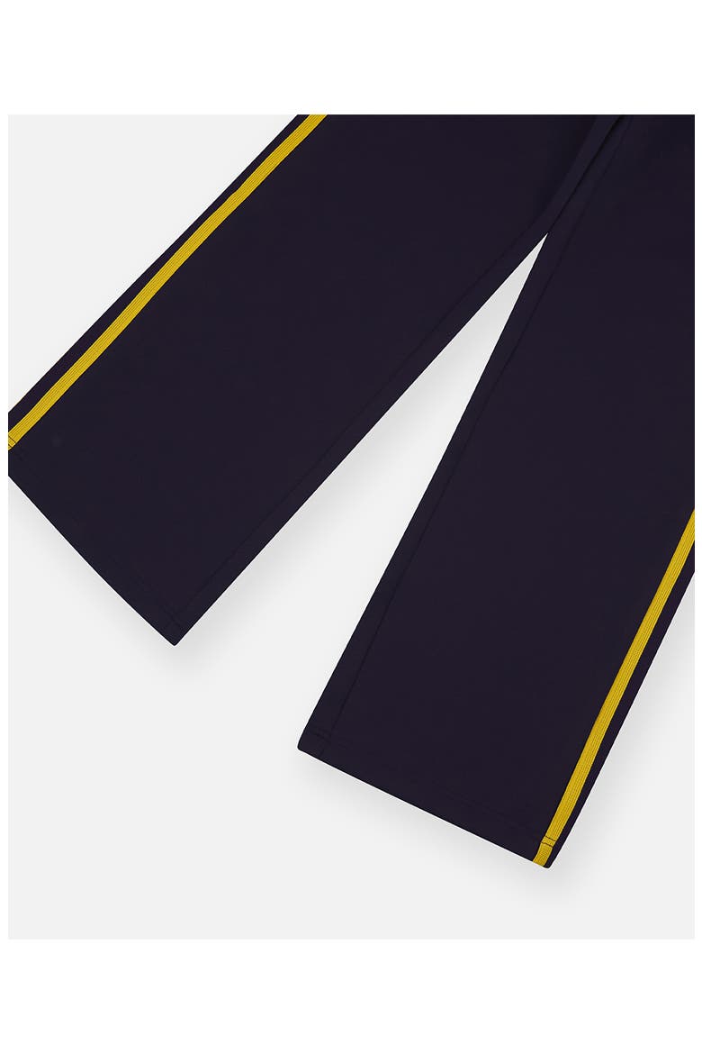 Track Pants, Alternate, color, NAVY