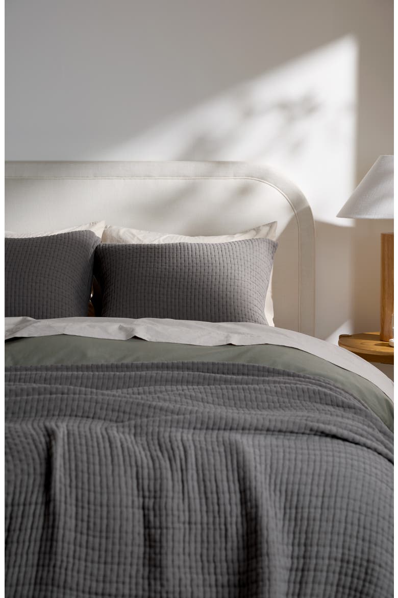 Air Organic Cotton Quilt (Nordstrom Exclusive), Alternate, color, PEBBLE