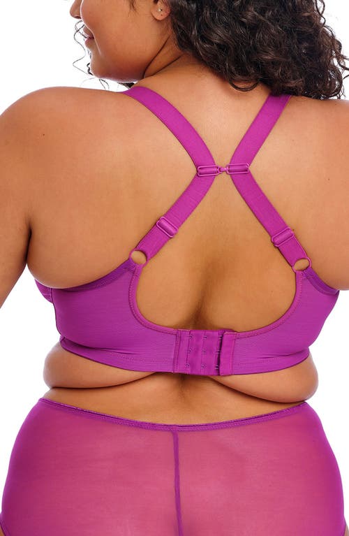 Elomi Matilda Full Figure Underwire Plunge Bra In Purple