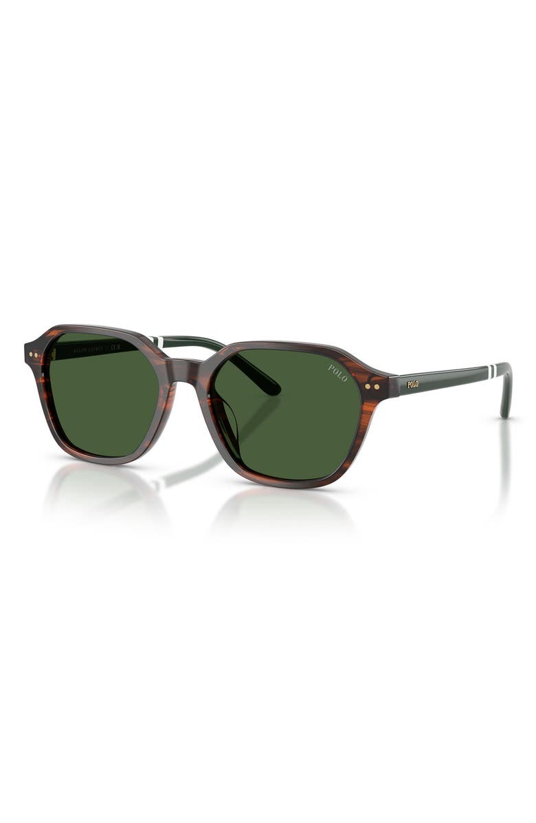 Polo Ralph Lauren 54mm Irregular Sunglasses, Alternate, color, Shiny Striped Brown / Green