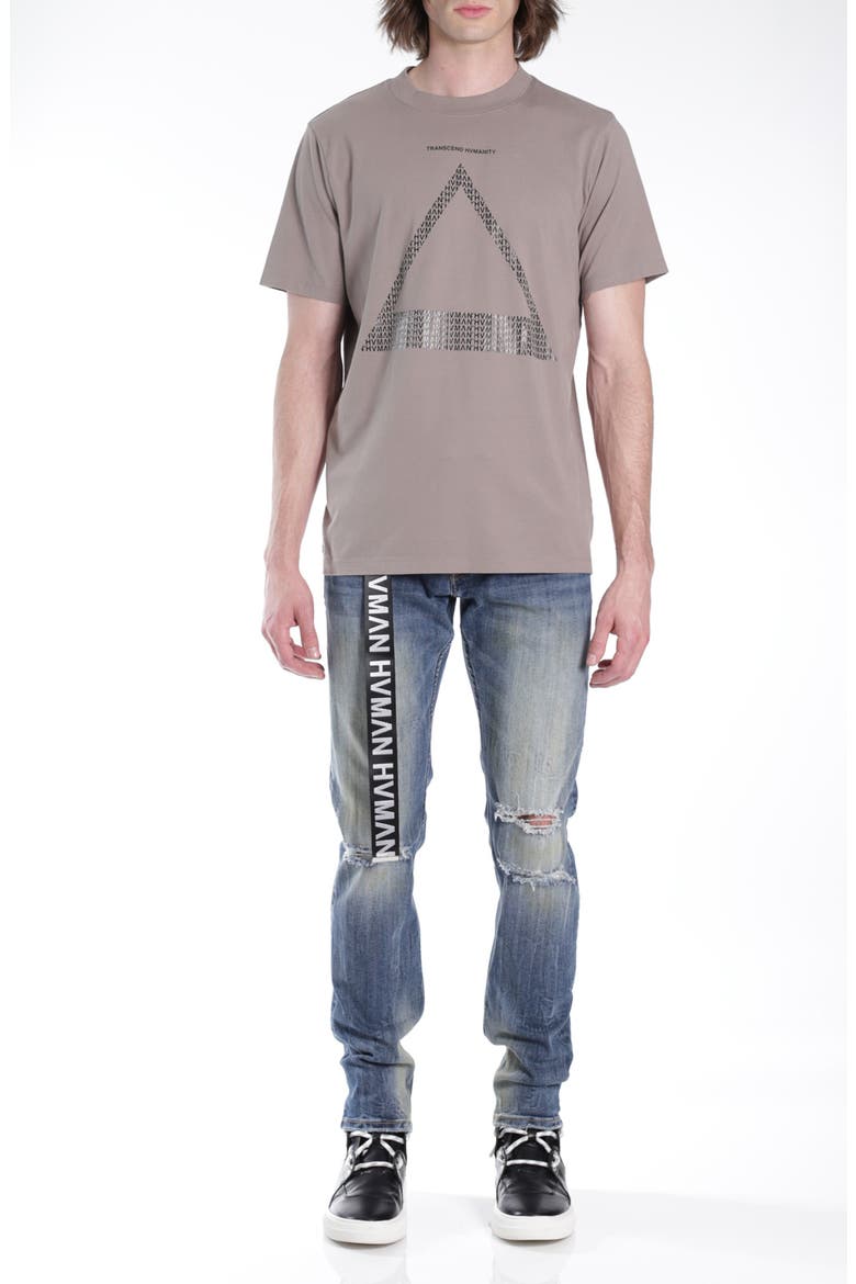 Triangle Logo Cotton Graphic Tee, Alternate, color, SATELLITE