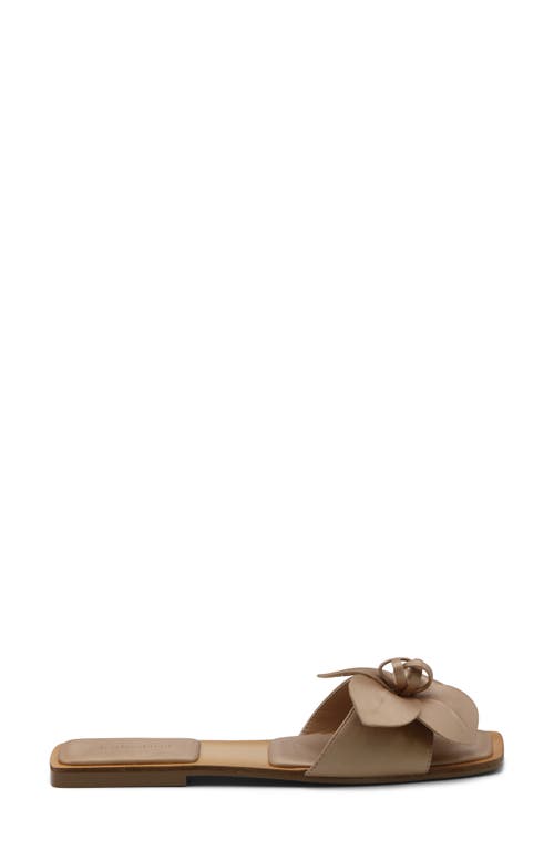 Charles David Ovum Slide Sandal In Gold