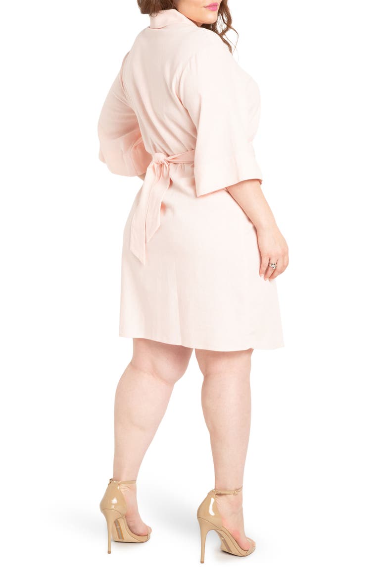 Belted Linen Blend Shirtdress, Alternate, color, VEILED PINK