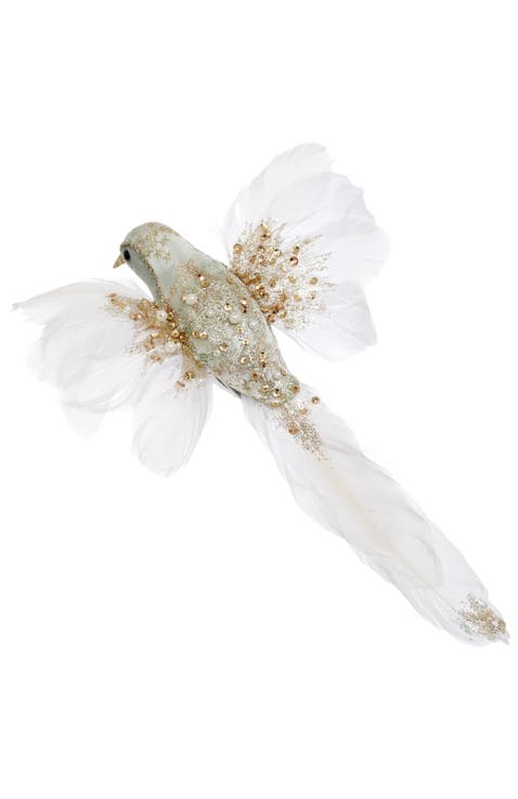 Elegant Feathered Bird, Set of 12