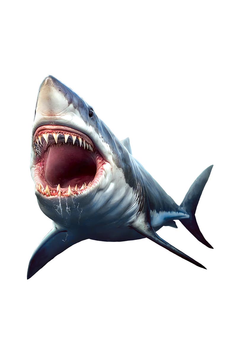 Shark 100 Piece Shaped Jigsaw Puzzle, Alternate, color, Multicolor