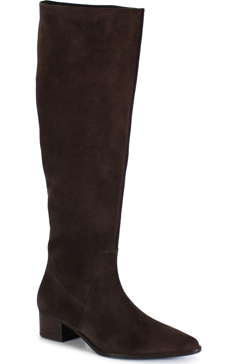 Diba True DIG ITAL Leather Sleek Tall Boot, Main, color, Dark Brown