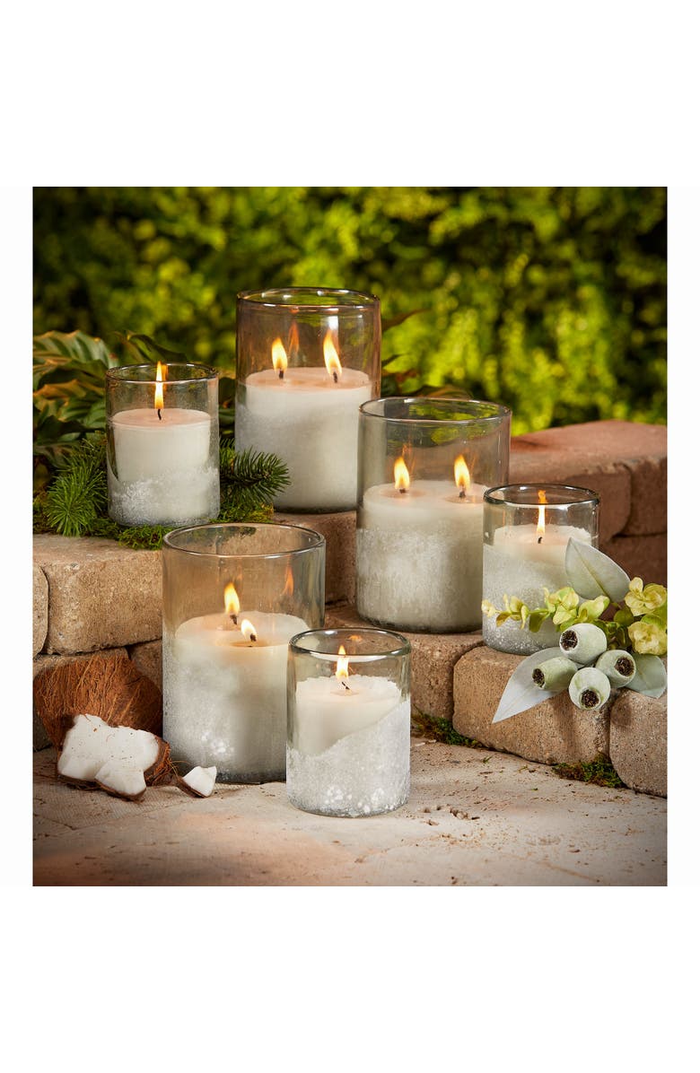 tag White Citronella Sunkissed Coconut Outdoor Candle in Glass, Alternate, color, Clear