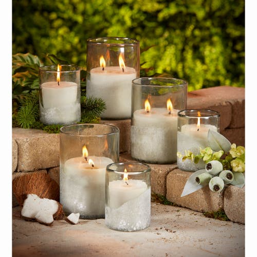 Tag White Citronella Sunkissed Coconut Scented Candle Set Of 6 In White