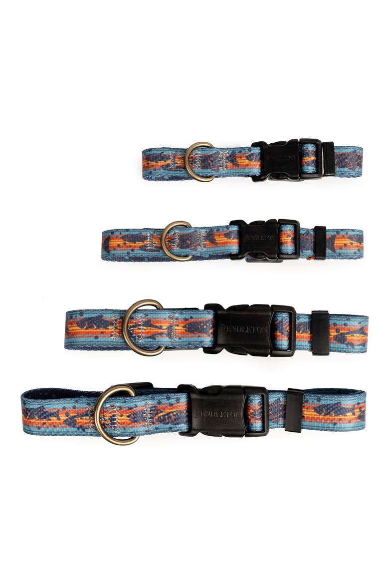 Adventure Dog Collar, Alternate, color, SALMON FALLS