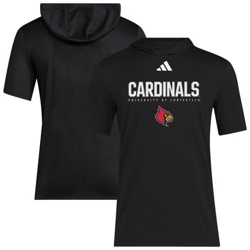 Adidas Originals Adidas Black Louisville Cardinals 2025 Areoready Sideline Training Hooded T-shirt