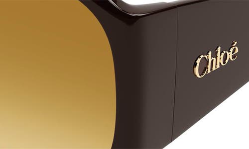 Chloé Oversized Acetate Sunglasses Tinted Lenses In Brown