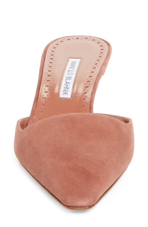 Manolo Blahnik Moiramu Pointed Toe Kitten Heel Mule