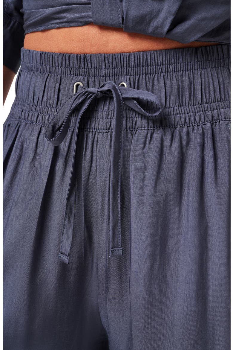 Savanna Drawstring Waist Pants, Alternate, color, OMBRE BLUE