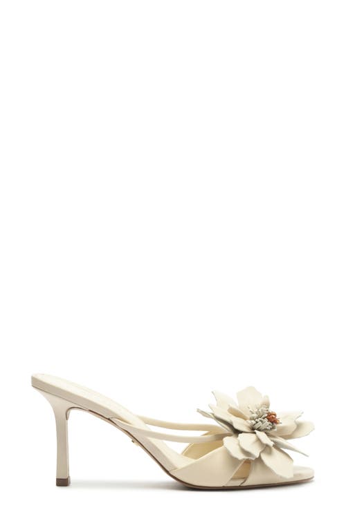 Arezzo Daisy Mid Slide Sandal