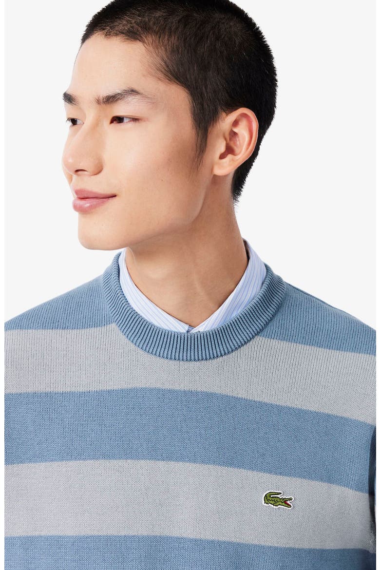 Striped Cotton Crewneck Sweater, Alternate, color, ARAL/ SHELL GREY