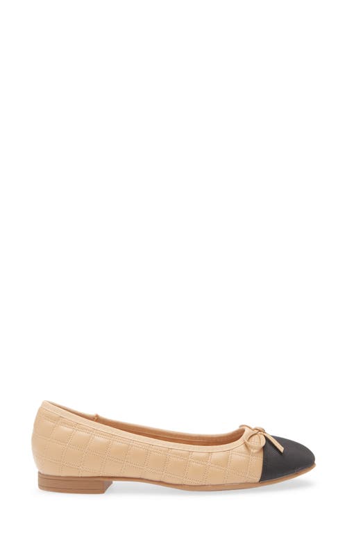 T Tahari Chateau Cap Toe Quilted Flat In Camel/black