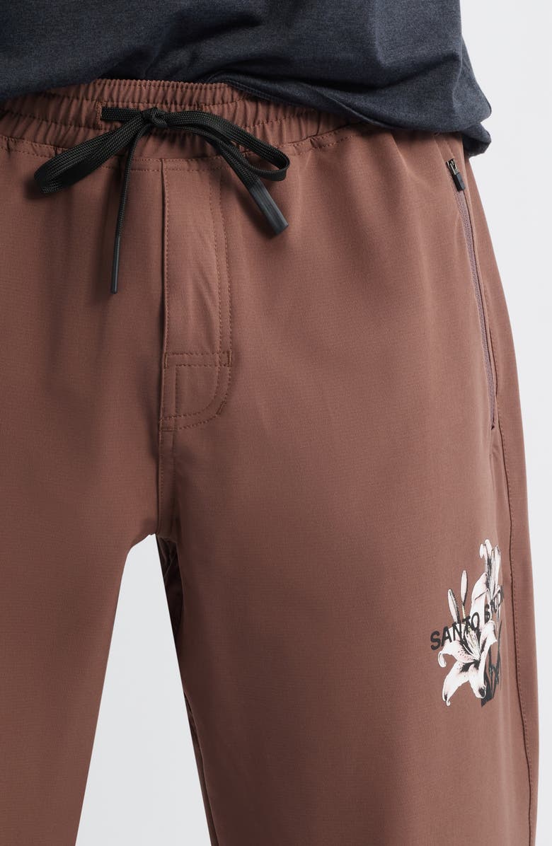 SANTO STUDIO Tempo Good Energy Tech Joggers, Alternate, color, Holy Brown