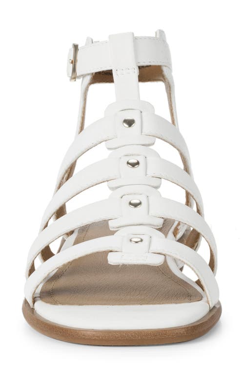 Baretraps Nathalia Gladiator Sandal In White Leather