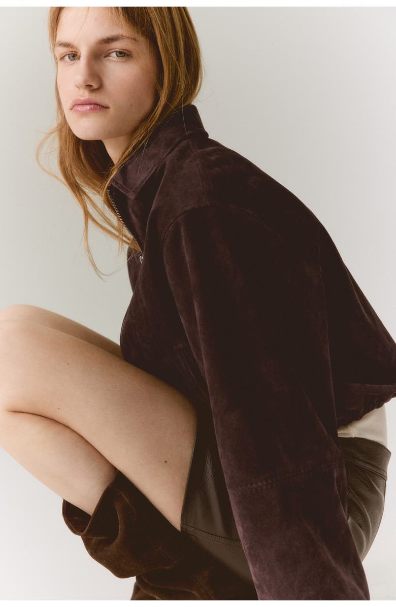 H&M Collared Jacket, Alternate, color, Dark Brown