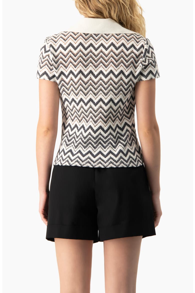Multicolor Chevron Knit Collared Polo Blouse, Alternate, color, White