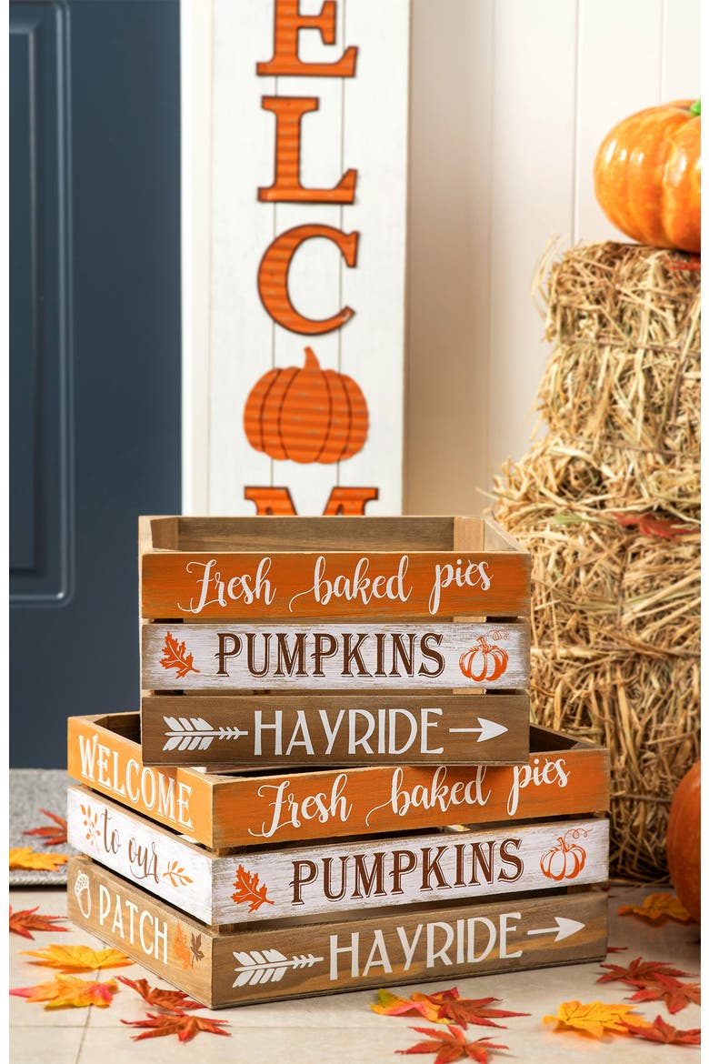 Set of 2 Wooden Pumpkin Crates Table Decor, Alternate, color, Orange