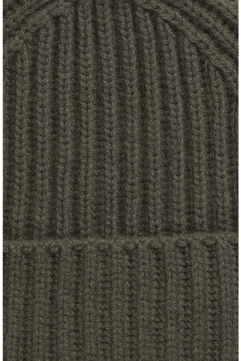 Boiled Cashmere Chunky Rib Beanie, Alternate, color, 301ROS
