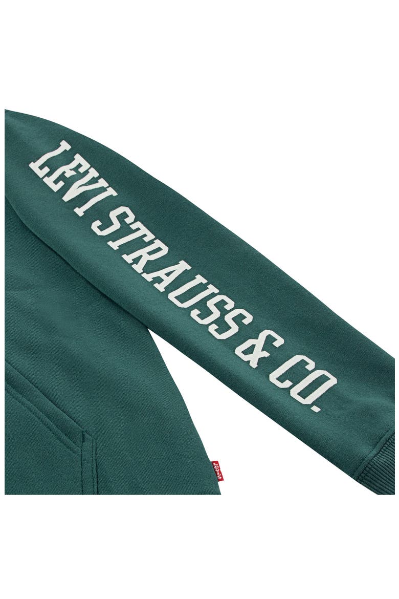 Kids' Sleeve Hit Hoodie, Alternate, color, BISTRO GREEN