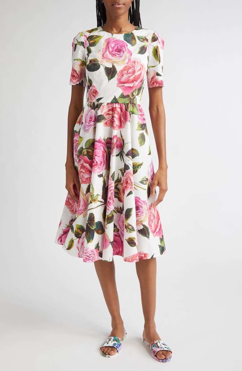 Dolce&Gabbana Rose Print Cotton Fit & Flare Dress, Main, color, Rose Rosa Floral.bianco