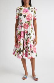 Dolce&Gabbana Rose Print Cotton Fit & Flare Dress