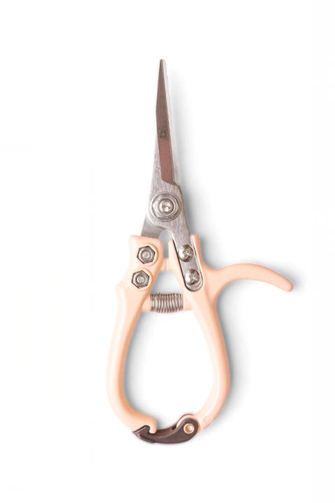 Pruning Shears
