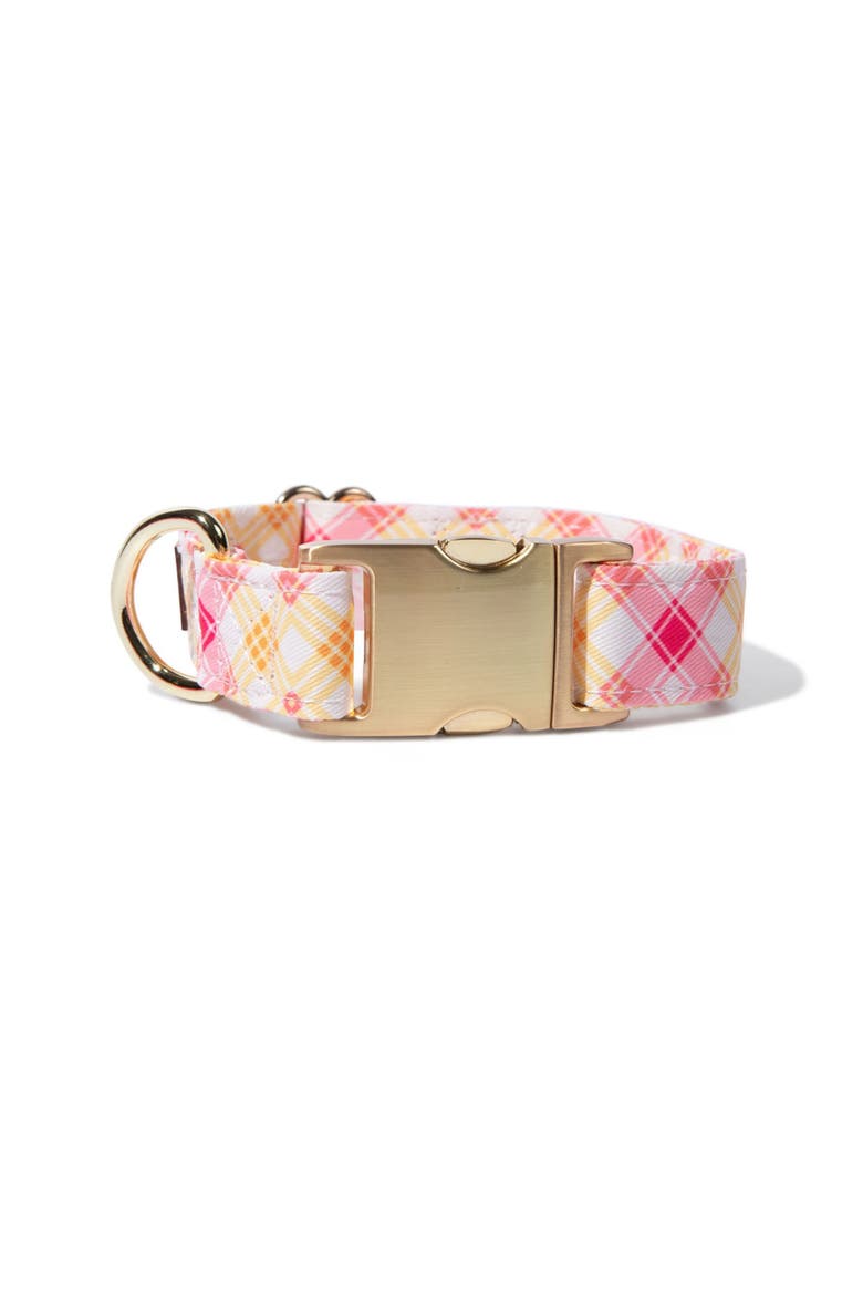 Lottie Dog Collar, Main, color, Lottie