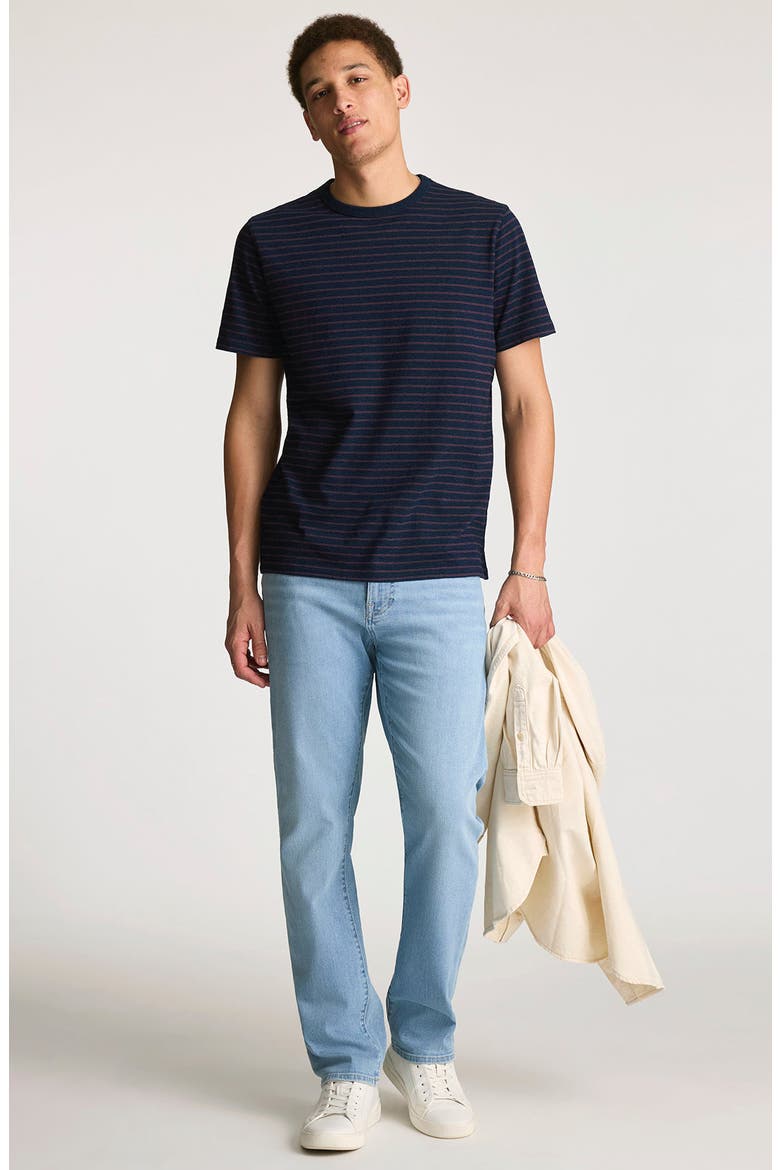Regular Fit Stripe Cotton T-Shirt, Alternate, color, INDIGO STRIPE