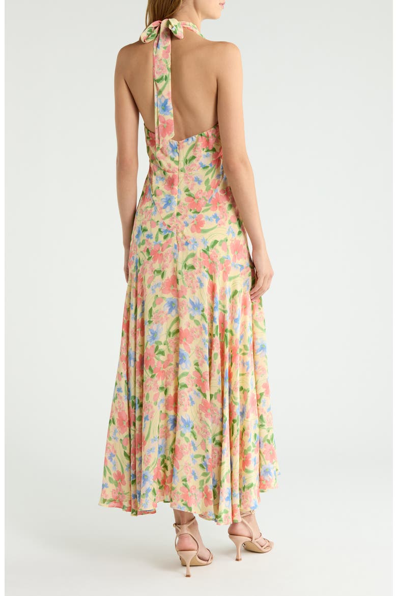 Briony Floral Halter Neck Maxi Dress, Alternate, color, SPRING FLING